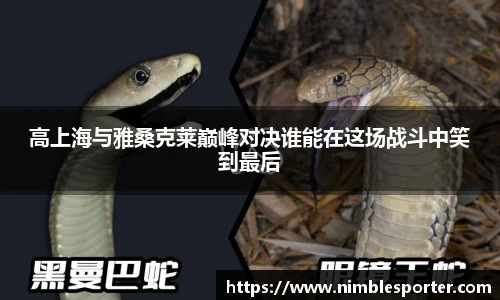 九游娱乐