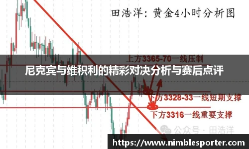 尼克宾与维积利的精彩对决分析与赛后点评